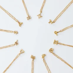 Capricorn Bubble Necklace Gold