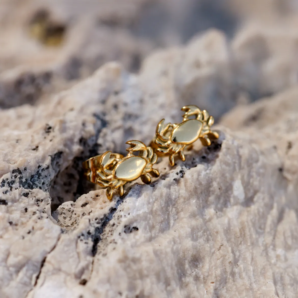 Crab Chaser Studs Gold