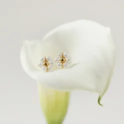Daisy Studs Roségold