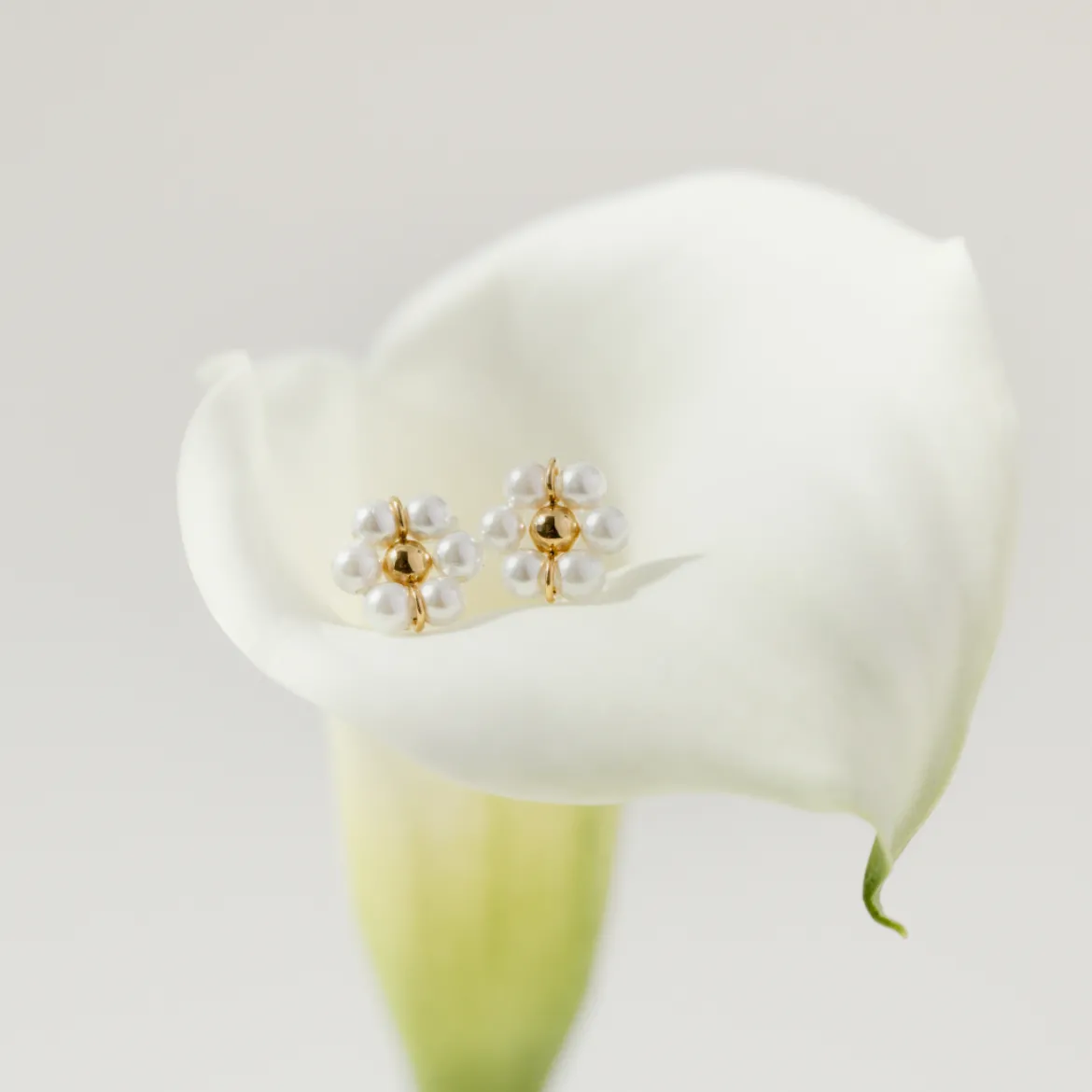 Daisy Studs Roségold