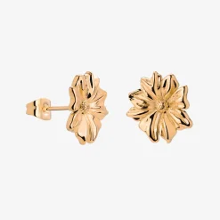 Pure Petal Studs Roségold