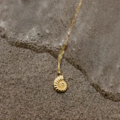Siren's Spell Necklace Roségold
