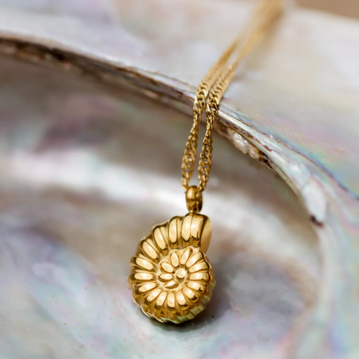 Siren's Spell Necklace Roségold