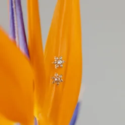 Sparkling White Petal Studs Roségold